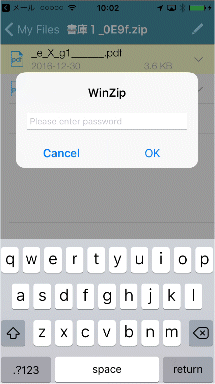WinZip 06